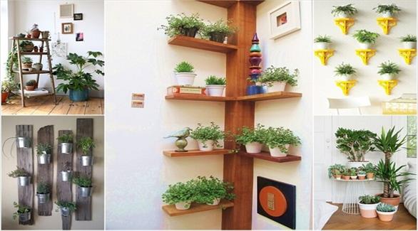 دکوراسیون دیوار خانه با استفاده از گل و گیاه