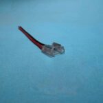 لاین نوری کناف