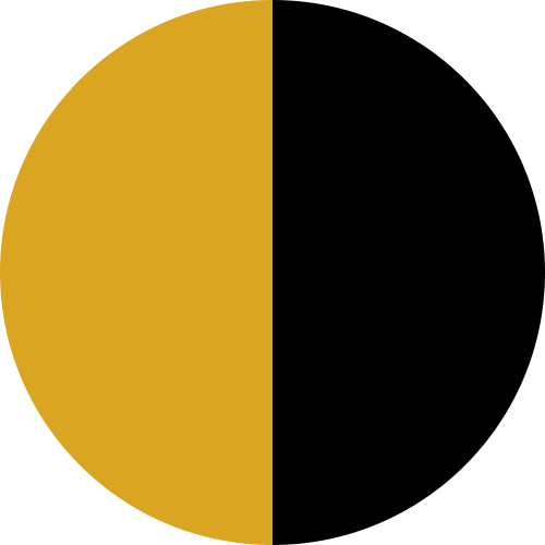 رنگ زرد مشکی