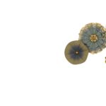 تابلو دکوراتیو فانتزی